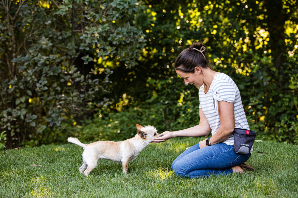 Paws For Understanding Paws for Thought: Becoming a better behavior analyst by training dogs ...